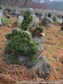 2014.11.23 - ARBORETUM W KÓRNIKU