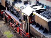 2014.05.03-04 - DNI ZIEMI WOLSZTYŃSKIEJ