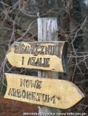 2014.11.23 - ARBORETUM W KÓRNIKU