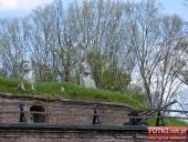 2015.05.01-03 - MIĘDZYZDROJE