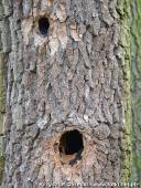 2014.11.23 - ARBORETUM W KÓRNIKU