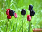 2015.05.01-03 - MIĘDZYZDROJE