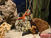 2015.03.06-09 - BARCELONA