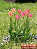 2015.05.01-03 - MIĘDZYZDROJE