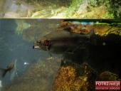 2015.03.06-09 - BARCELONA