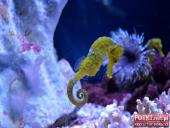 2015.03.06-09 - BARCELONA