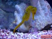 2015.03.06-09 - BARCELONA