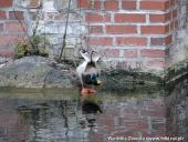 2014.11.23 - ARBORETUM W KÓRNIKU