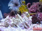 2015.03.06-09 - BARCELONA