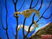 2015.03.06-09 - BARCELONA