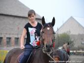 2014.10.11 - HUBERTUS 2014