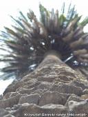 2014.08.23-30 - RZYM