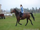 2014.10.11 - HUBERTUS 2014