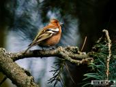 2025.04.05 - SOBOTNI PORANEK