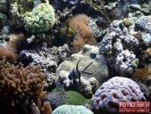 2015.03.06-09 - BARCELONA