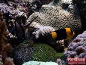 2015.03.06-09 - BARCELONA