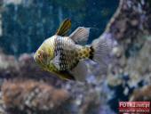 2015.03.06-09 - BARCELONA