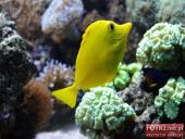 2015.03.06-09 - BARCELONA