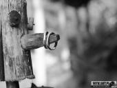 2016,09.25 - PLENER ŚLUBNY MARTY&ARKADIUSZA