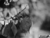 2016,09.25 - PLENER ŚLUBNY MARTY&ARKADIUSZA