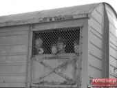 2015.04.11 - MARSZ KATYŃSKI