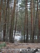 2017.02.18 - VII BIEG GÓRSKI LESZNO-GRZYBOWO