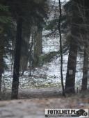 2017.02.18 - VII BIEG GÓRSKI LESZNO-GRZYBOWO