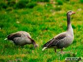 2025.04.05 - SOBOTNI PORANEK