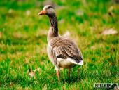 2025.04.05 - SOBOTNI PORANEK