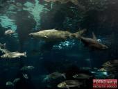 2015.03.06-09 - BARCELONA