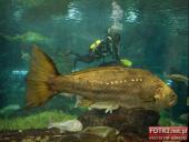 2015.03.06-09 - BARCELONA