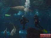 2015.03.06-09 - BARCELONA