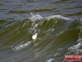 2015.05.01-03 - MIĘDZYZDROJE