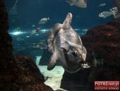 2015.03.06-09 - BARCELONA