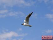 2015.05.01-03 - MIĘDZYZDROJE