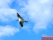 2015.05.01-03 - MIĘDZYZDROJE