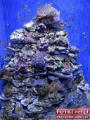 2015.03.06-09 - BARCELONA