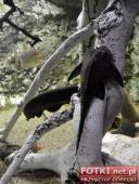 2015.03.06-09 - BARCELONA