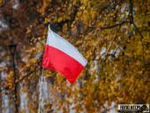 2024.11.11 - 11 WOLSZTYŃSKI BIEG NIEPODLEGŁOŚCI - cz. 2