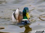 2025.04.05 - SOBOTNI PORANEK