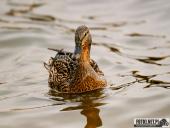 2025.04.05 - SOBOTNI PORANEK