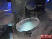 2015.03.06-09 - BARCELONA