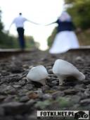 2016,09.25 - PLENER ŚLUBNY MARTY&ARKADIUSZA