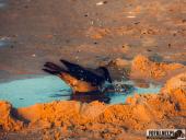 2024.09.07 – MRZEŻYNO - PORT / PLAŻA