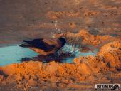 2024.09.07 – MRZEŻYNO - PORT / PLAŻA