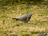 2025.04.05 - SOBOTNI PORANEK