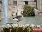 2015.03.06-09 - BARCELONA