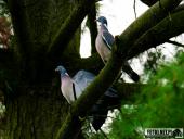 2025.04.05 - SOBOTNI PORANEK