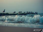 2024.09.07 – MRZEŻYNO - PORT / PLAŻA