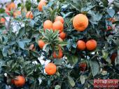 2015.03.06-09 - BARCELONA